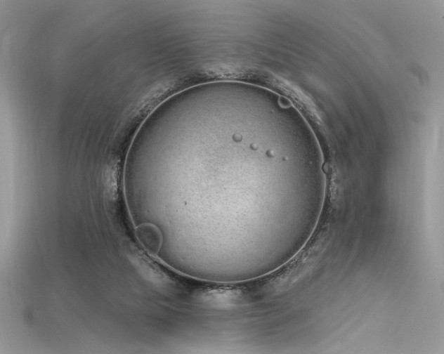 X0000115710065200911121434