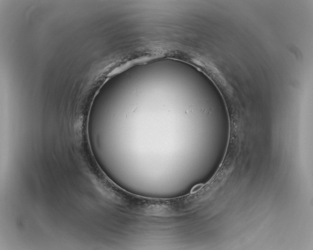 X0000115710066200911121434