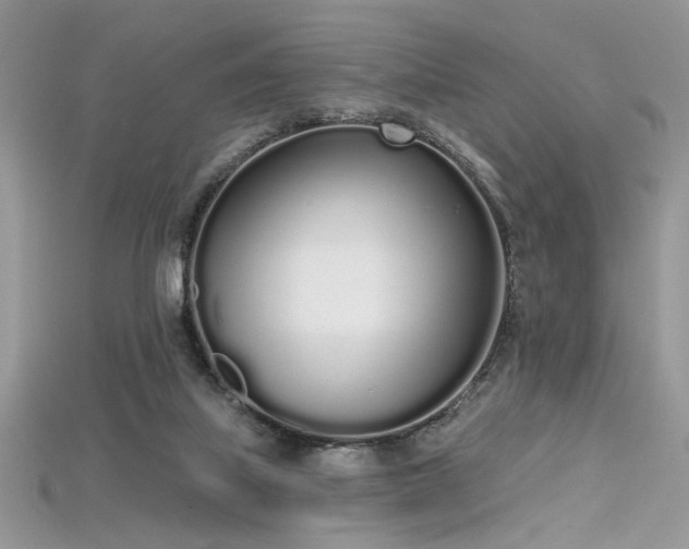 X0000115710067200911121434