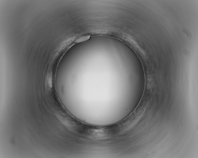 X0000115710068200911121434