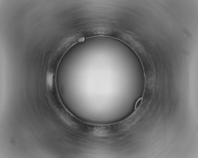 X0000115710070200911121434