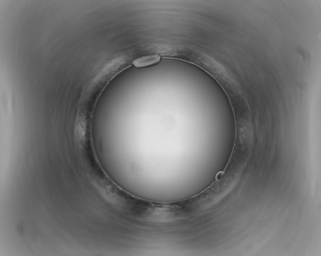 X0000115710072200911121434