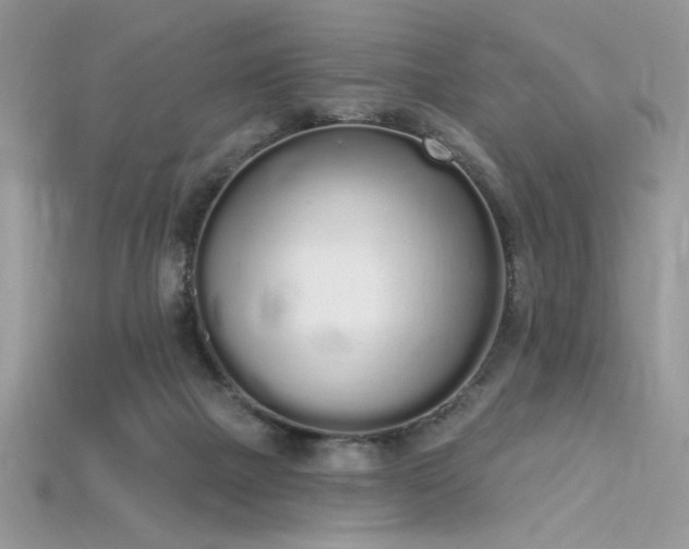 X0000115710073200911121434