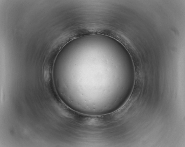 X0000115710074200911121434