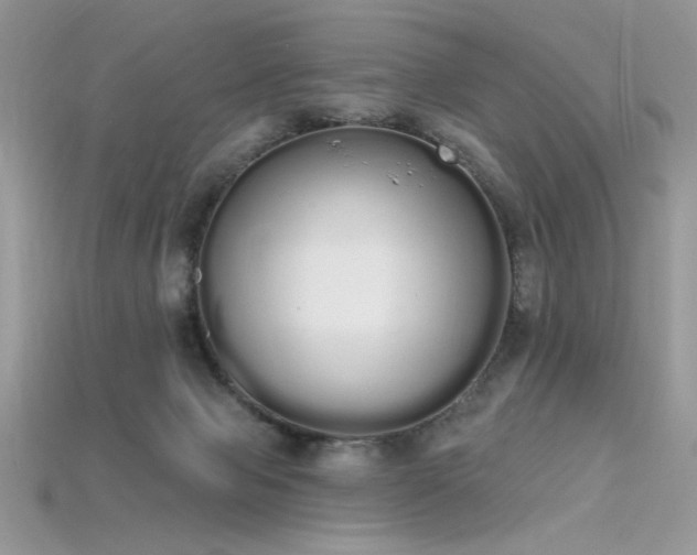 X0000115710077200911121434