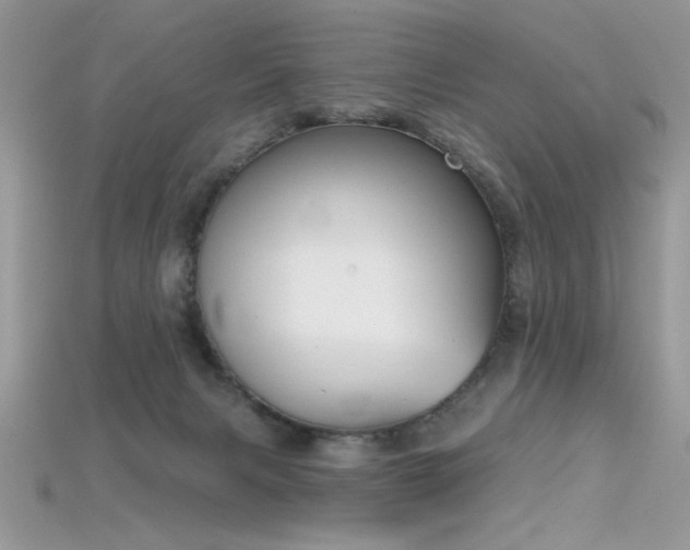 X0000115710079200911121434