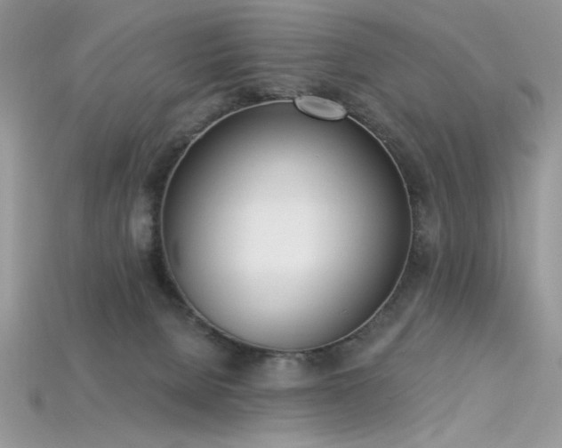 X0000115710080200911121434