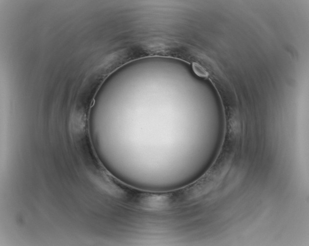 X0000115710081200911121434