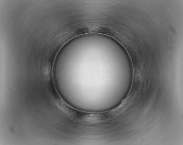 X0000115710082200911121434