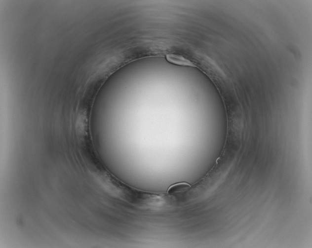 X0000115710083200911121434