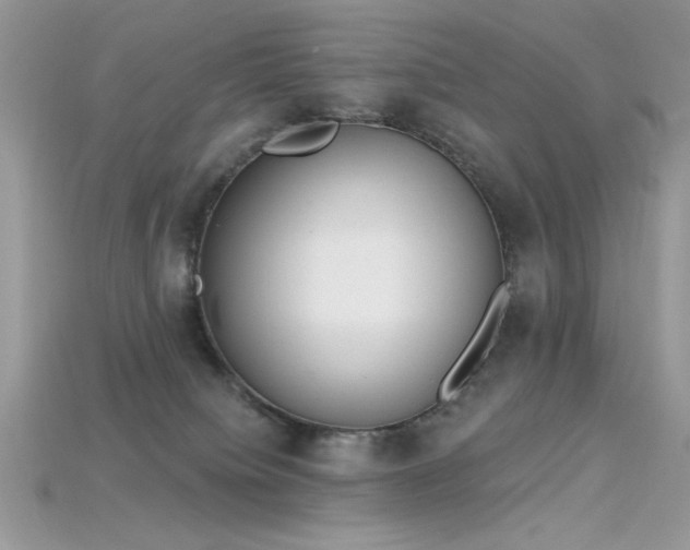 X0000115710084200911121434