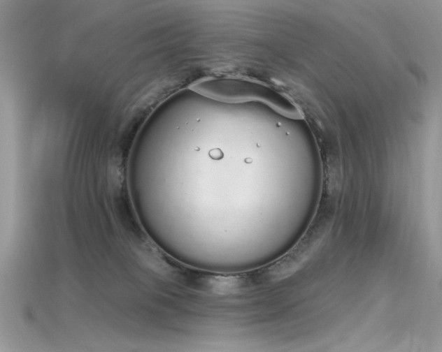 X0000115710085200911121434