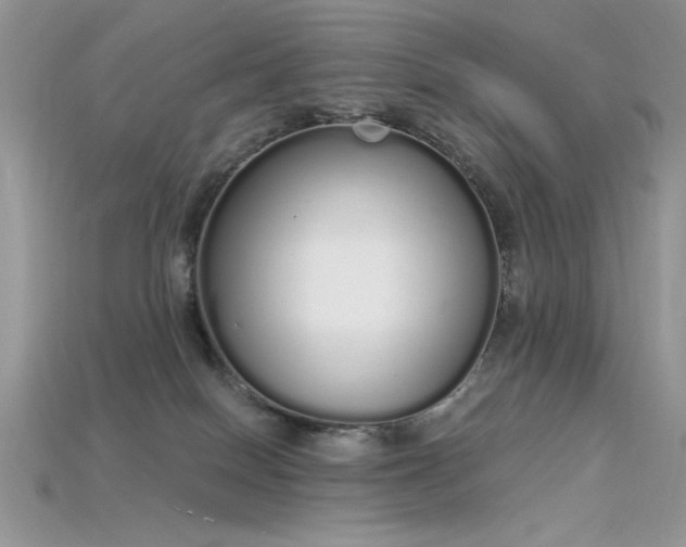 X0000115710086200911121434