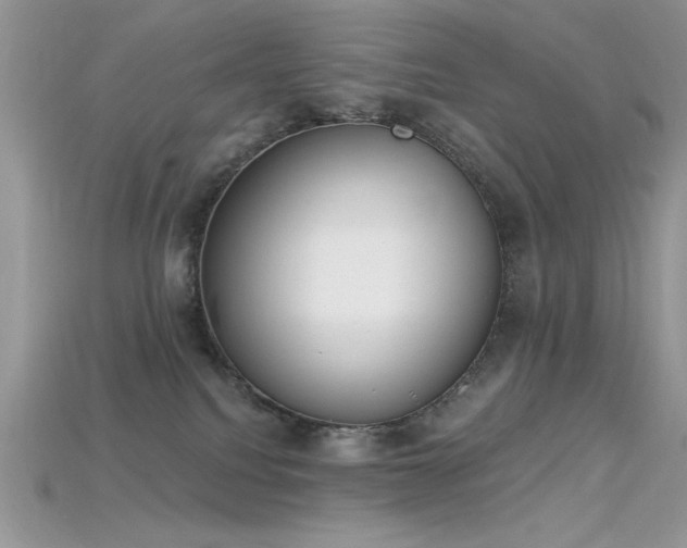 X0000115710088200911121434