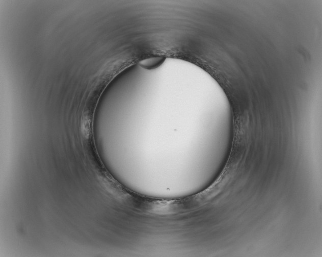 X0000115710090200911121434