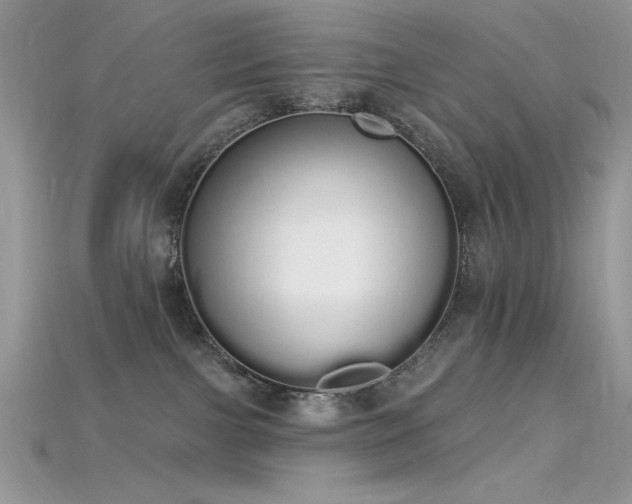 X0000115710091200911121434