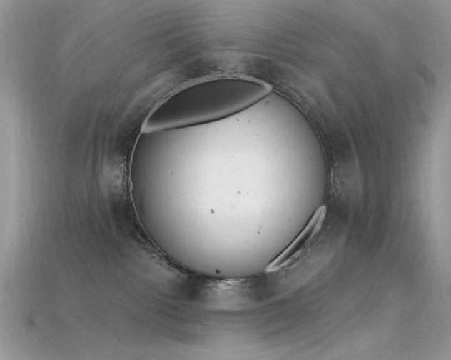 X0000115710092200911121434