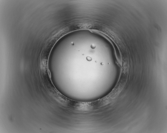 X0000115710093200911121434