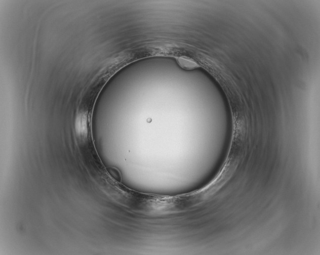 X0000115710094200911121434