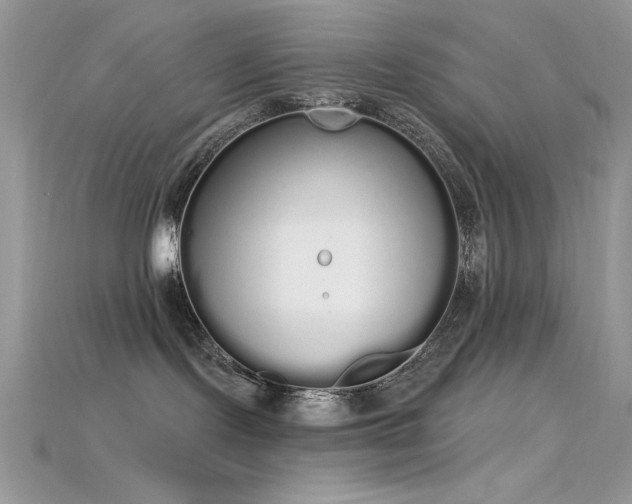 X0000115710095200911121434