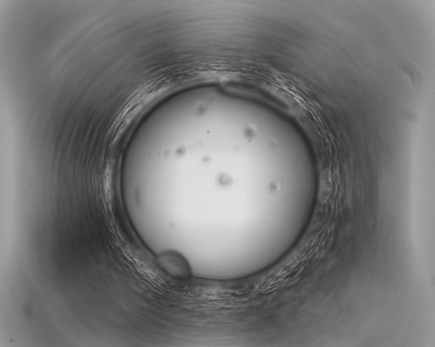 X0000115710098200911121434