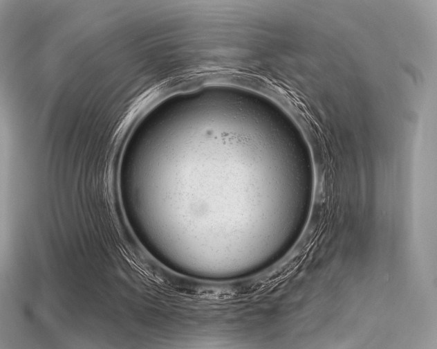 X0000115710099200911121434