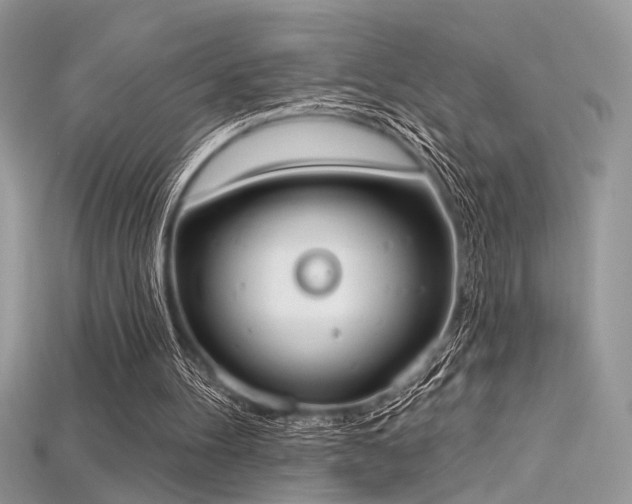 X0000115710100200911121434