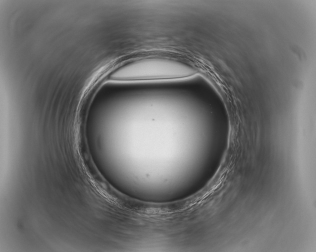 X0000115710101200911121434