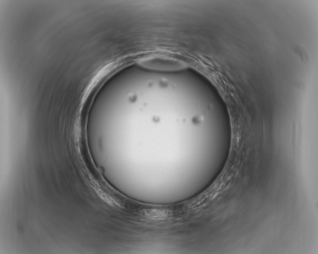 X0000115710102200911121434