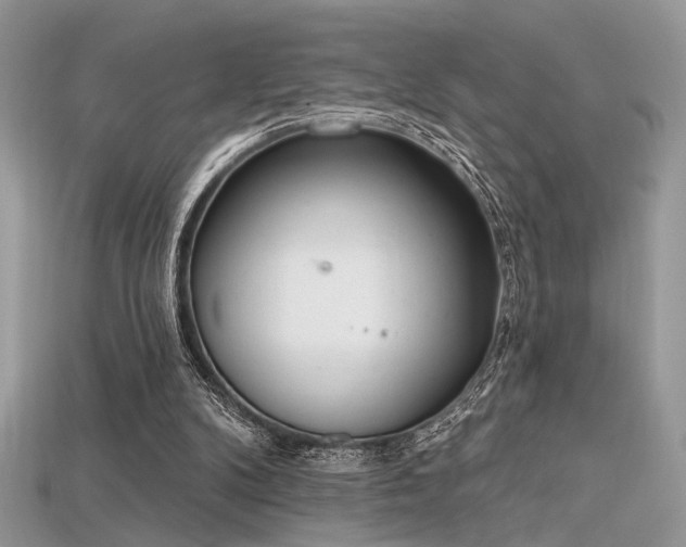 X0000115710104200911121434