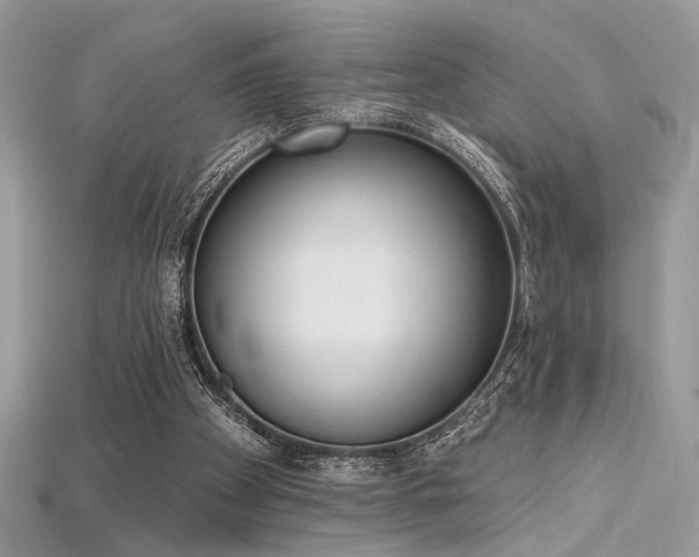 X0000115710105200911121434