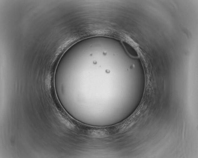 X0000115710106200911121434