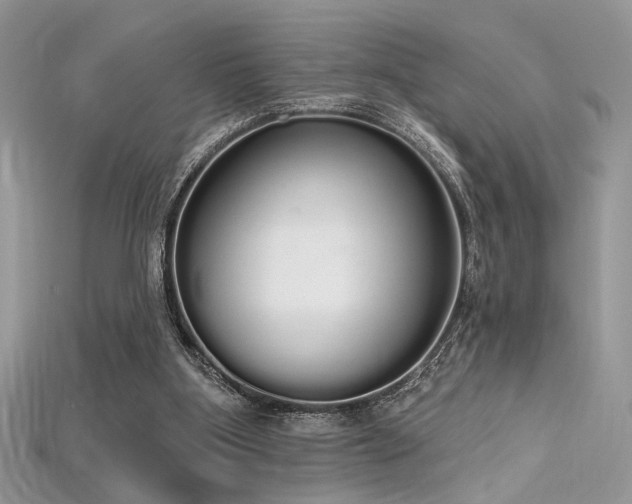 X0000115710107200911121434