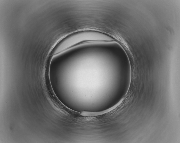 X0000115710108200911121434