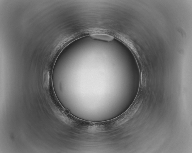 X0000115710109200911121434