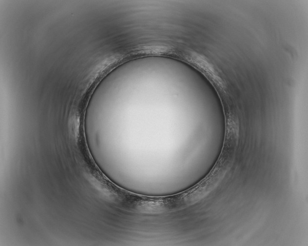 X0000115710110200911121434