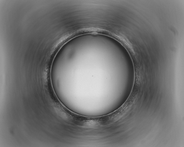 X0000115710111200911121434