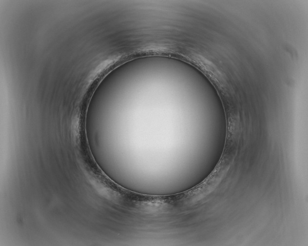 X0000115710112200911121434