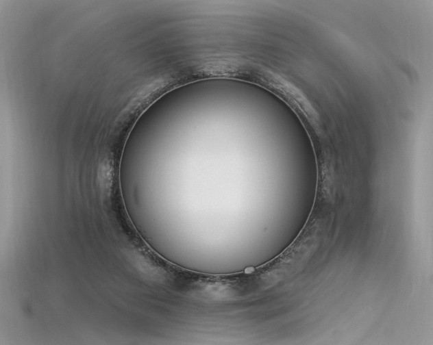 X0000115710113200911121434