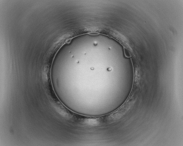 X0000115710114200911121434