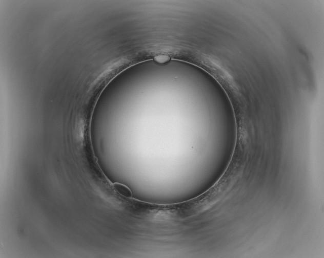 X0000115710115200911121433