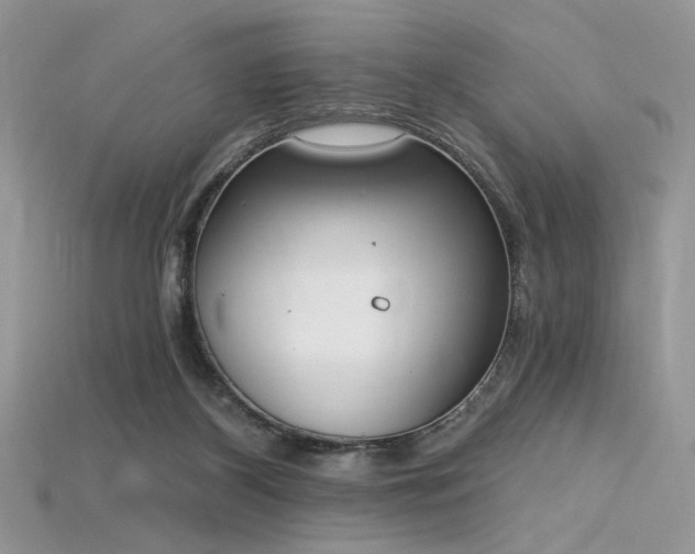 X0000115710116200911121433