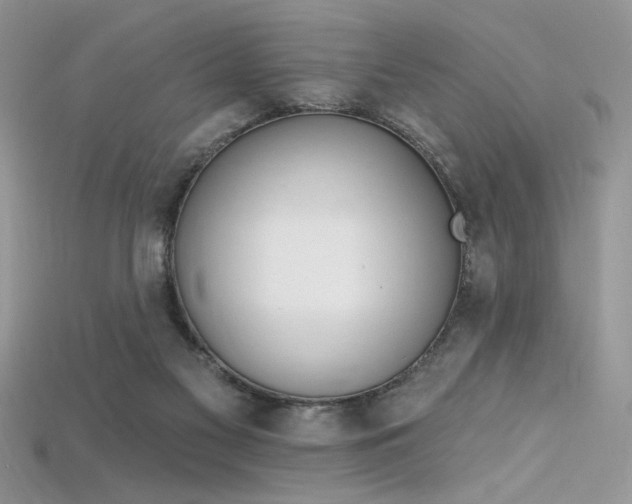 X0000115710117200911121433