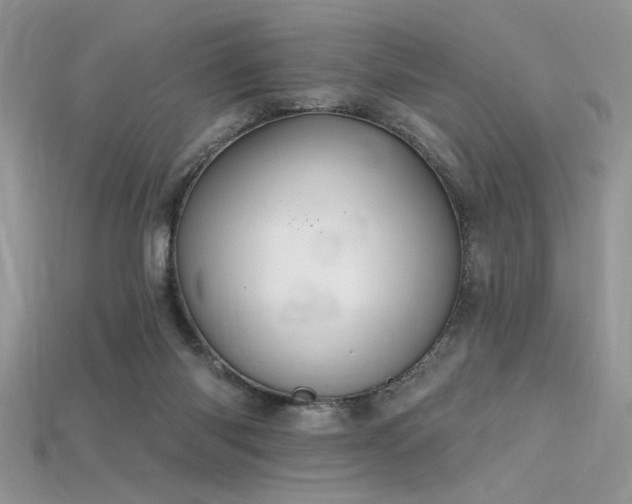 X0000115710118200911121433