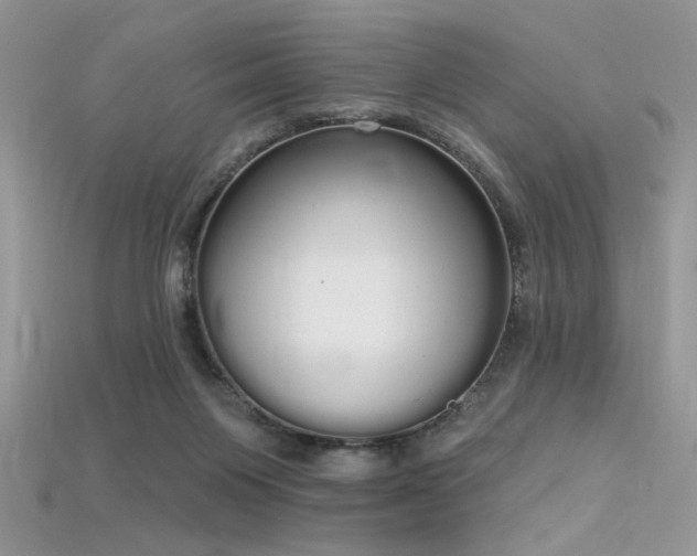 X0000115710119200911121433