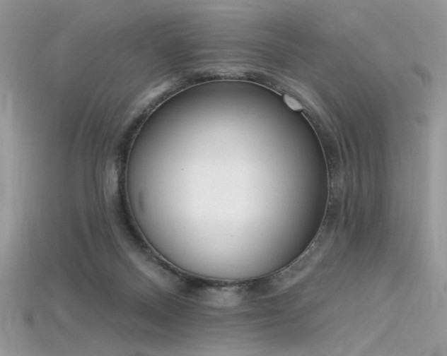 X0000115710120200911121433