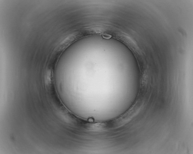 X0000115710122200911121433