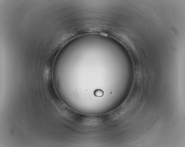 X0000115710123200911121433