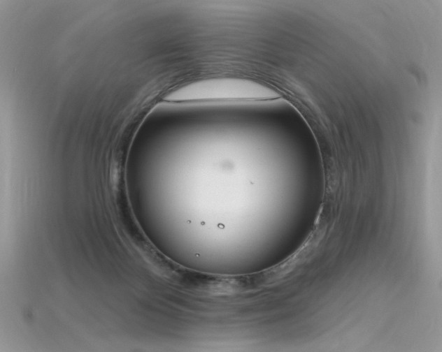 X0000115710124200911121433