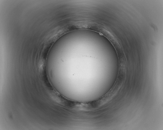 X0000115710125200911121433